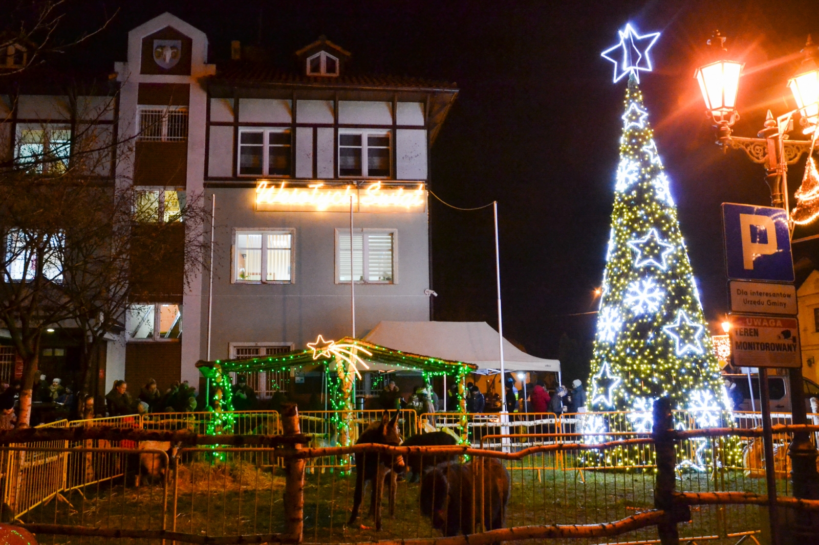 KOLĘDOWANIE POD CHOINKĄ