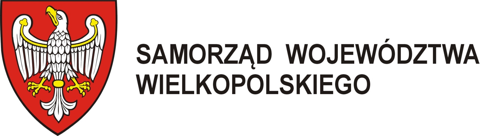 NABÓR NA RADNYCH MŁODZIEŻOWEGO SEJMIKU WOJEWÓDZTWA WIELKOPOLSKIEGO