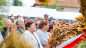 DOŻYNKI POWIATOWO-GMINNE W DONABOROWIE