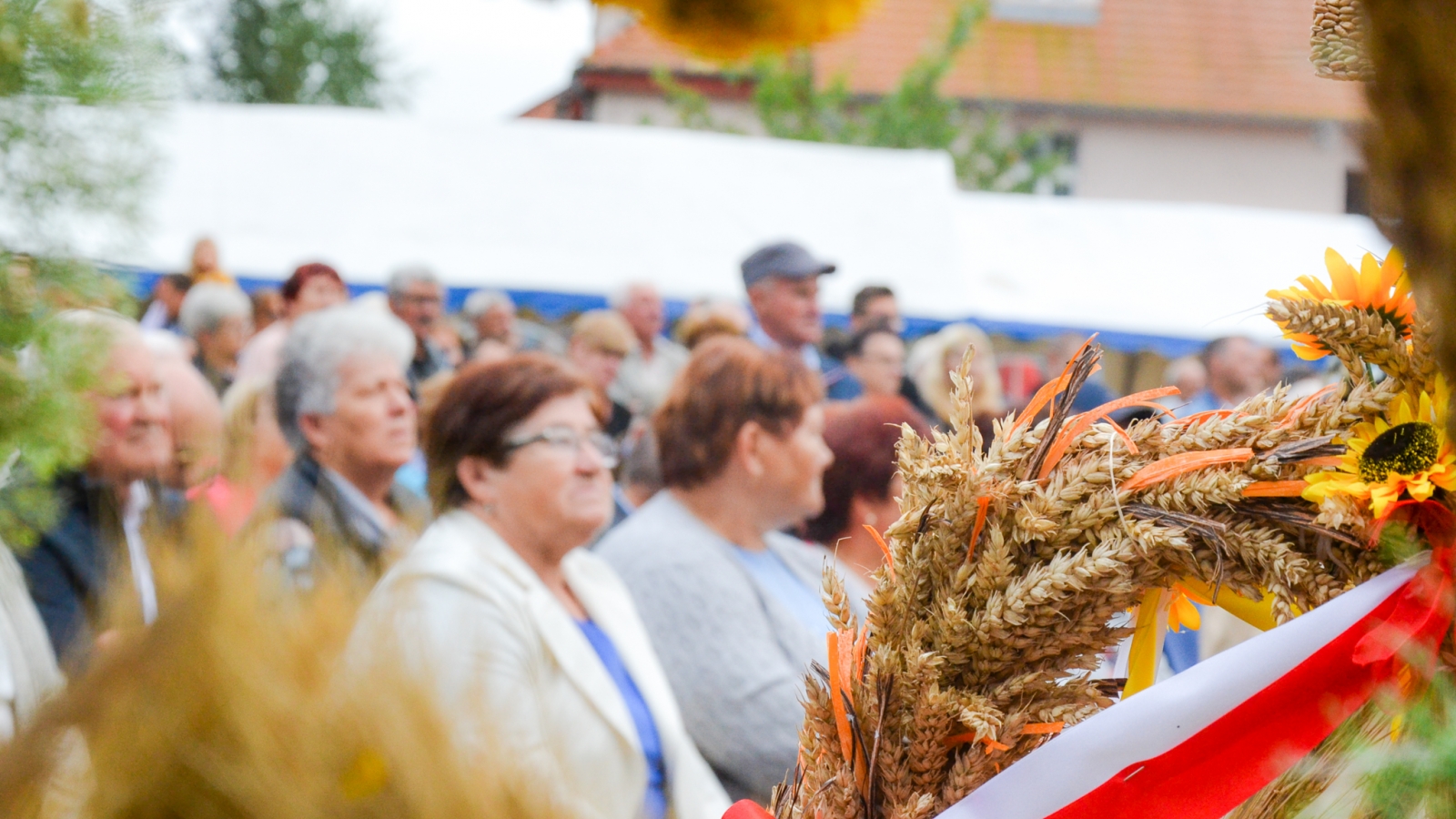 DOŻYNKI POWIATOWO-GMINNE W DONABOROWIE