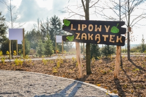 NAGRODA CZARODZIEJSKIEGO DRZEWA DLA BARANOWA